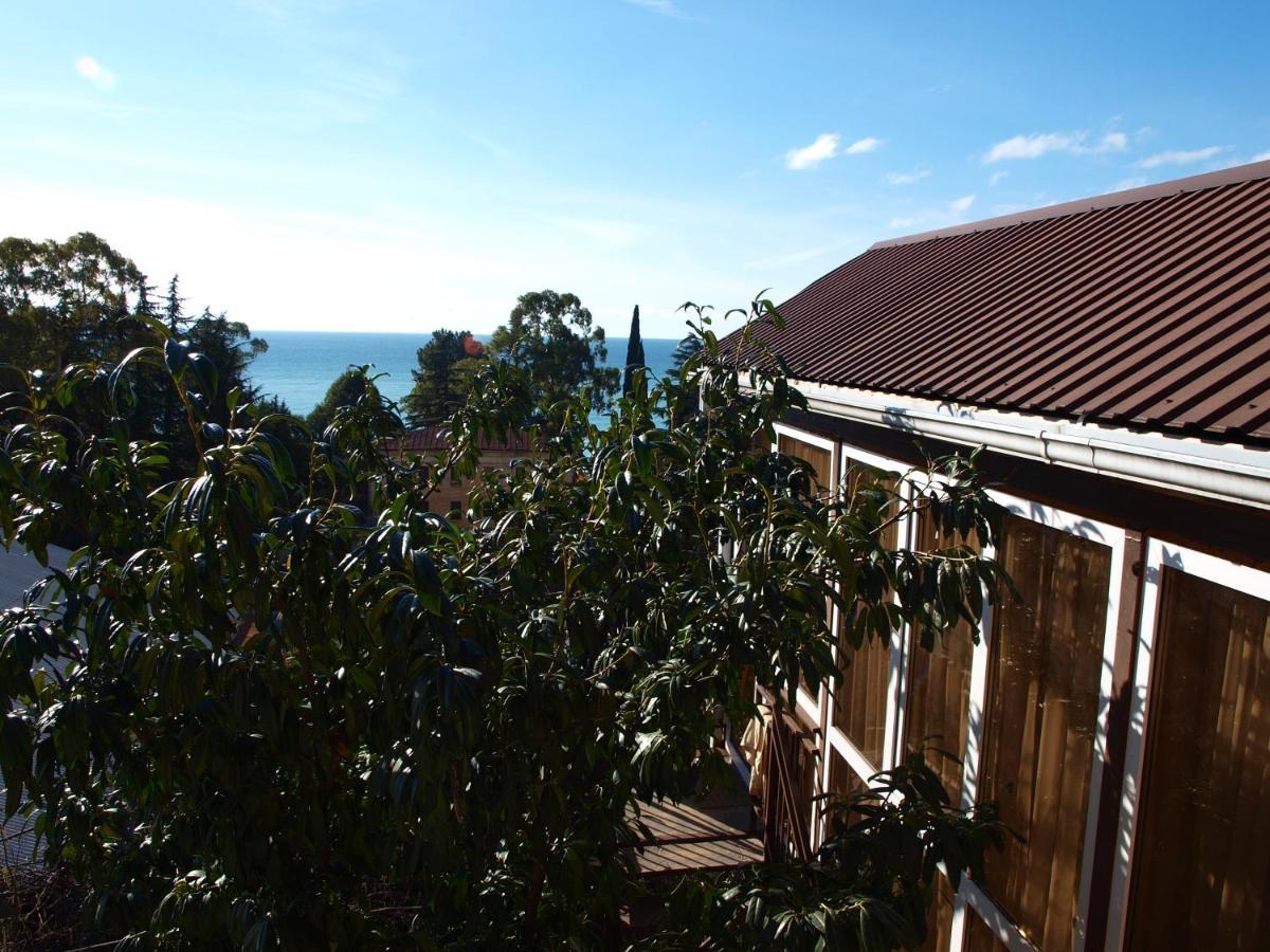 Эко-Отель Гагра Gagra Exteriör bild