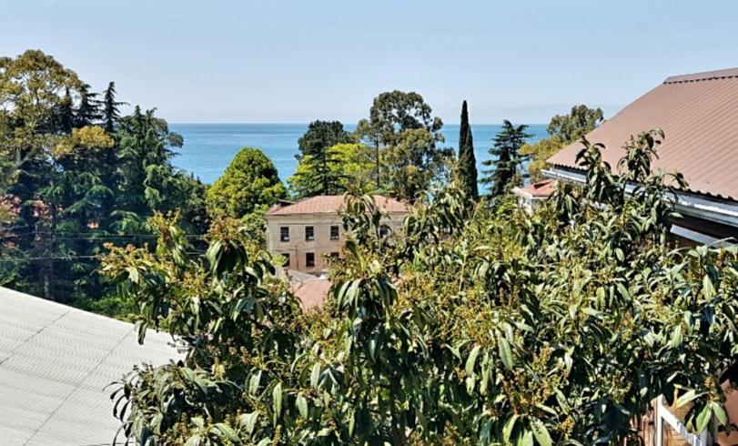 Эко-Отель Гагра Gagra Exteriör bild
